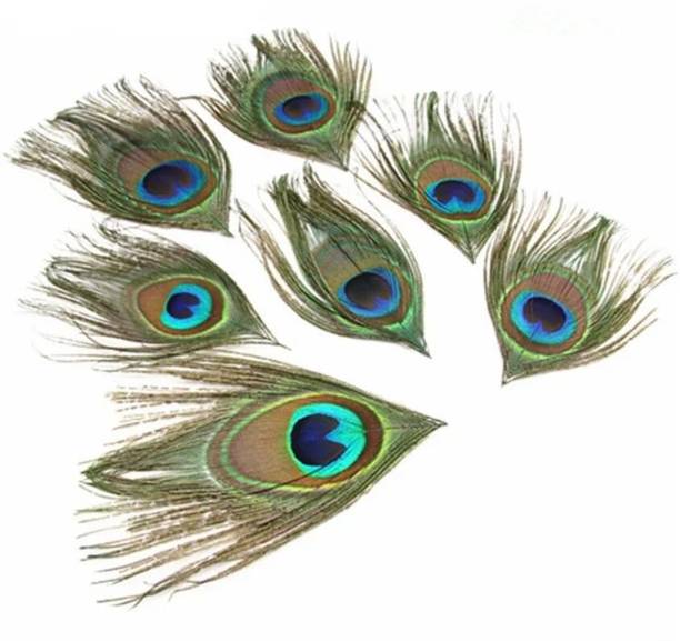 Designer Bandhu Pack of 5 Decorative Feathers