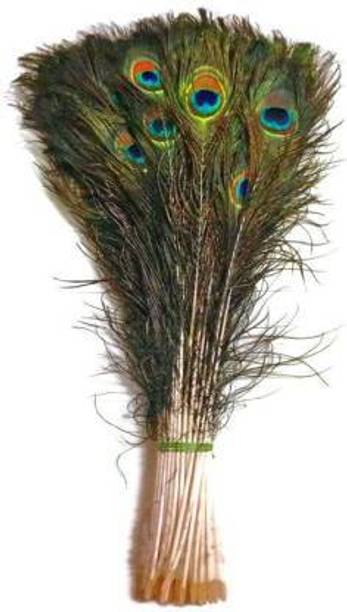 DEBALAYA Pack of 20 Decorative Feathers
