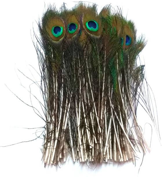 Raga Plus Pack of 20 Decorative Feathers