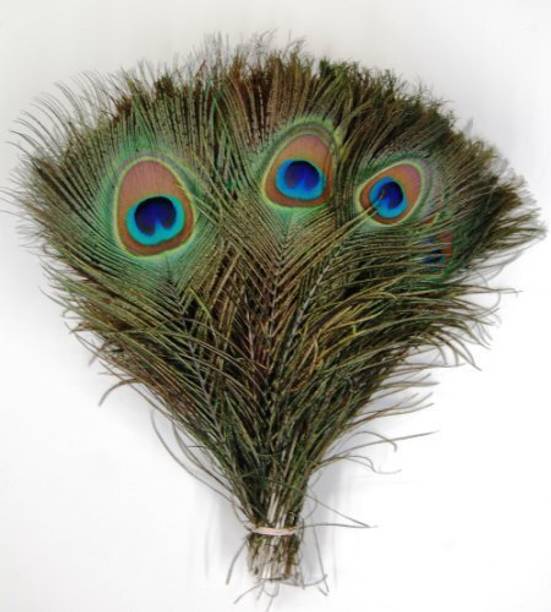 nagaana Pack of 5 Decorative Feathers