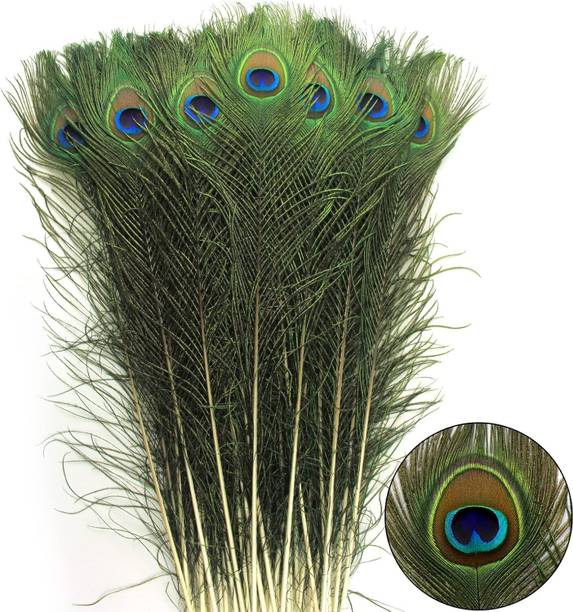 Tia Crafts Pack of 20 Decorative Feathers