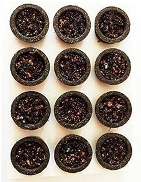 shiv sk SAMBRANI CUp | LOBAN | GUGGAL (Pack of 12 Guggul Dhoop