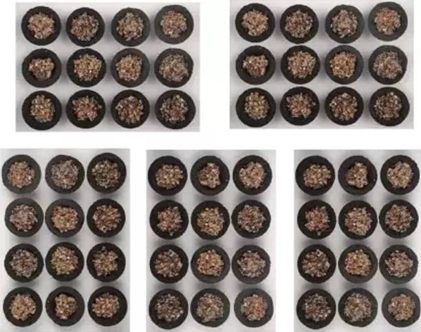 Airofine Fragrance Google -Dhoop Cup_2023:02-AF CDC479 Guggul, Frankincense Dhoop