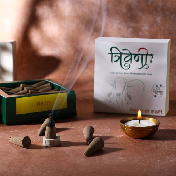 Triveni Dhoop Cones (120 Pieces) with 4 Holder, 25 min Burning time, Loban Dhoop