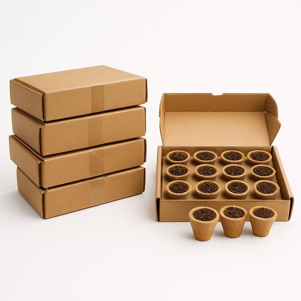 SE Agarbatti Premium Sambrani Guggul Dhoop Cups (Pack of 24 | 2 x 12 Cups) Guggul, Woody Dhoop