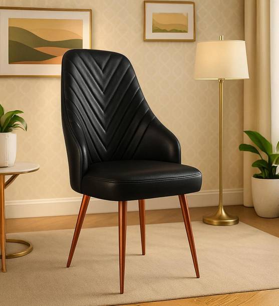 zidle Accent Dining Visitor Chair For Living Room/kitchen/Lawns/Designer Metal Dining Chair