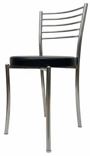 Newlike Metal Dining Chair