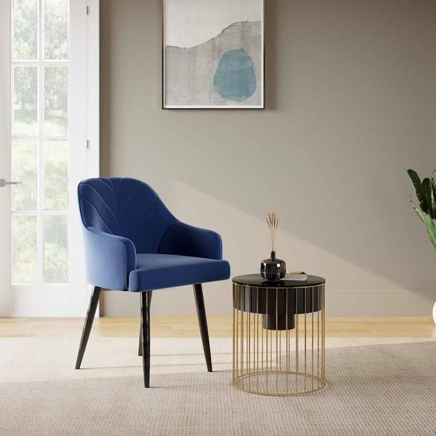RM HOME Gayana Metal Dining Chair