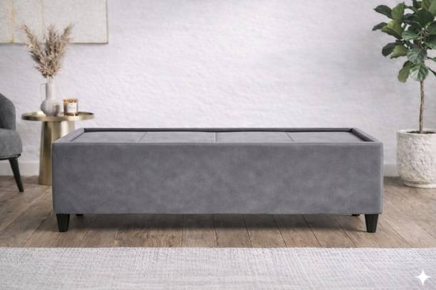 gnanitha Luxury Velvet Solid Wood Diwan