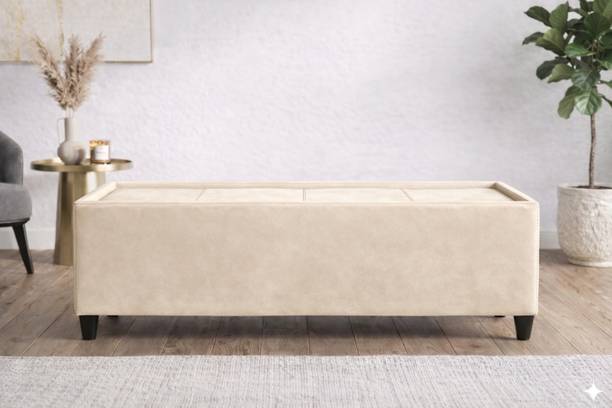 gnanitha Luxury Velvet Solid Wood Diwan