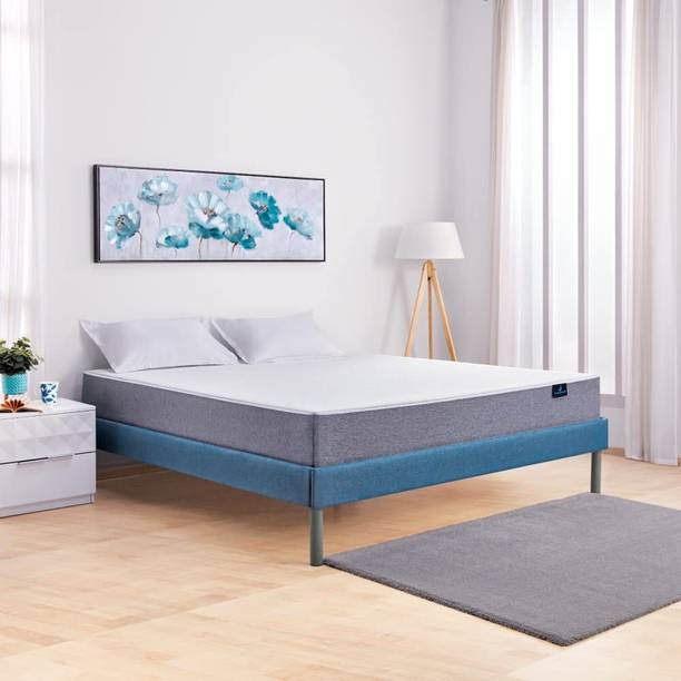 Worldwood Velvette King Size Bed Without Storage Velvette Upholstered Corners Solid Wood Diwan