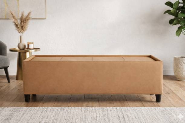 gnanitha Luxury Cushioned Rexine Solid Wood Diwan