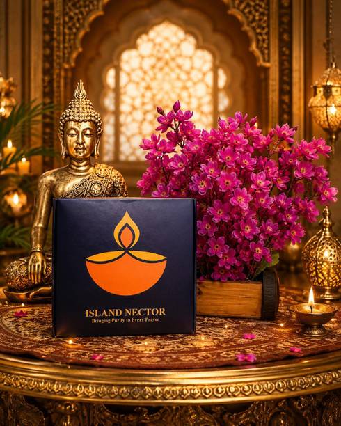 ISLAND NECTOR Decorative Pooja Ghee diya Terracotta (Pack of 30) Table Diya Set