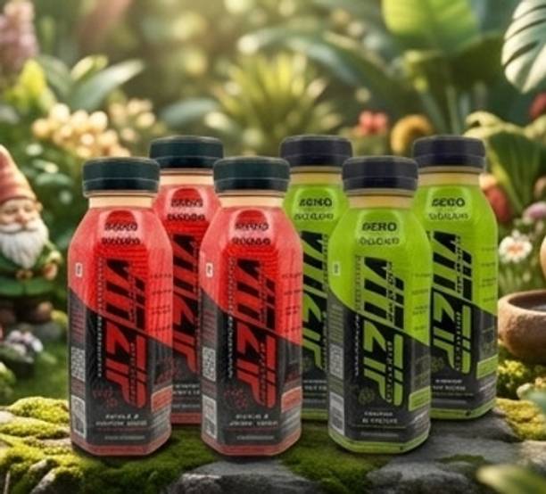 VITZIP Apple Peach Natural & Ginger Lemon Citrus Punch Juice Combo| Pack of 6