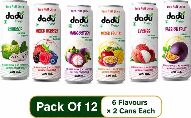Dadu Fresh Assorted Fruit Juice Drink Combo Pack | Mixed Fruit Flavours