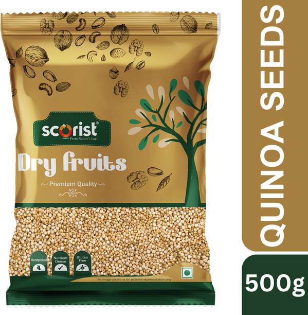 Scorist Popular Quinoa Seeds 500g Quinoa Seeds
