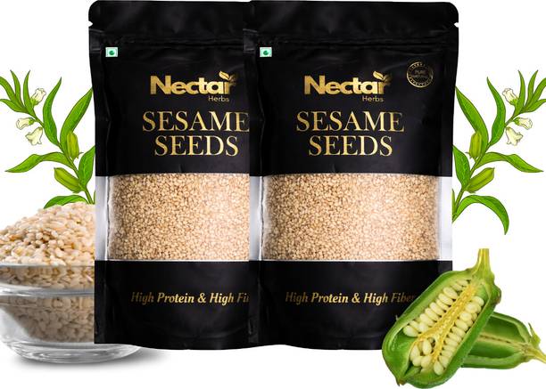 Nectar Herbs Nectar Herbs White Sesame Seeds 500g (250g x2) | Calcium Rich | Gluten Free Sesame Seeds