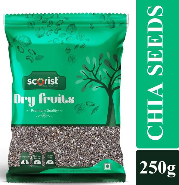 Scorist Popular Black Chia Seeds Black Chia Seeds