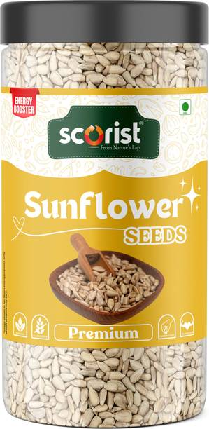 Scorist Premium Raw Sunflower Seeds | 400g Sunflower Seeds