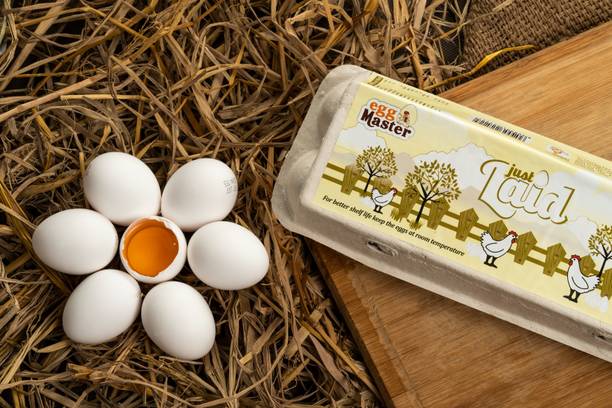 Egg Master  NA Hen White Eggs