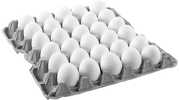 PREMIUM AGRROS Hen White Eggs