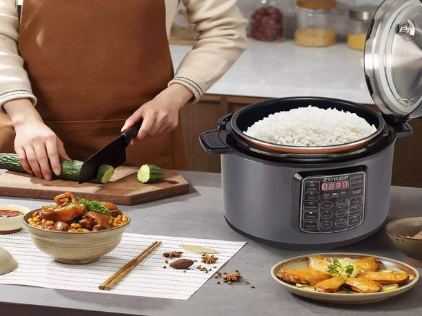Modexaglobal Electric Multifunction Mini Electric Cooker Steamer Egg Cooker, Travel Cooker, Egg Boiler, Rice Cooker