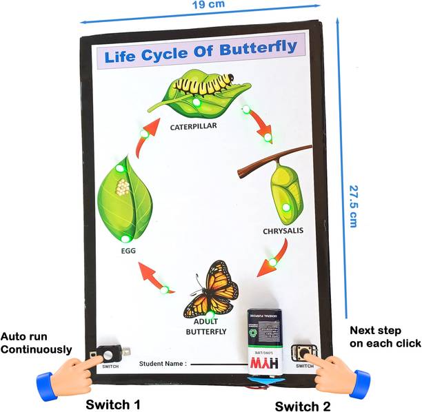 SR ROBOTICS Life Cycle of Butterfly School project Working model Educational Electronic Hobby Kit