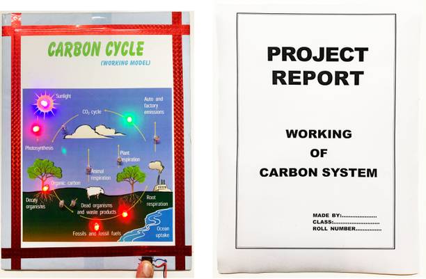 ONTEX ELECTRONICS Carbon Cycle Science Project working Model (Printed Report Included) Educational Electronic Hobby Kit
