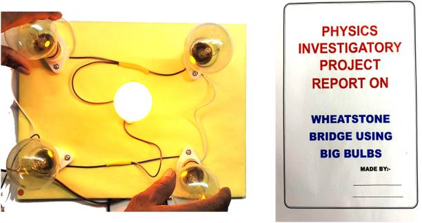 ONTEX ELECTRONICS Wheatstone Bridge Using Big Ring Bulbs | Resistance & Balance Experiment Project Educational Electronic Hobby Kit