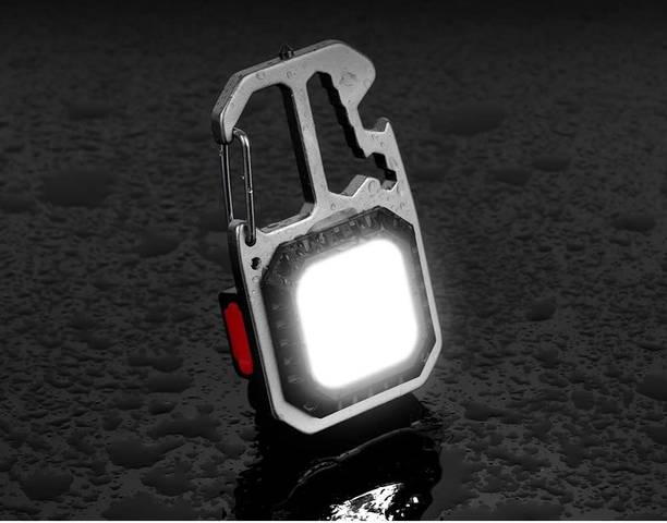 Xydrozen Pocket LED Work Light Key Ring Torch 5 hrs Tor...