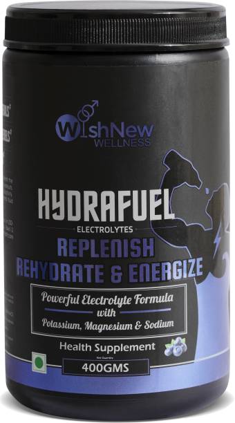 WISHNEW WELLNESS Hydrafuel |Rehydration and Energy Drink with Electrolytes (Blueberry) Hydration Drink