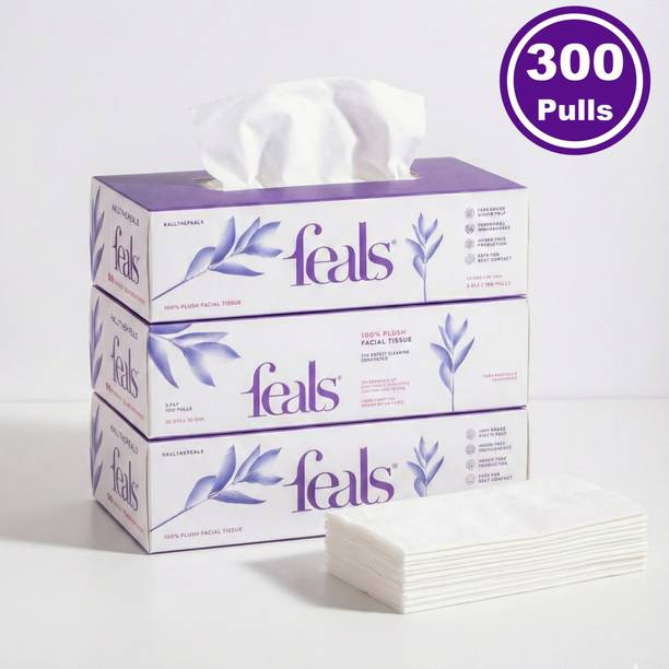 FEALS 2 Ply Facial Tissue Paper Box - 100 Pulls / Box (Pack of 3)