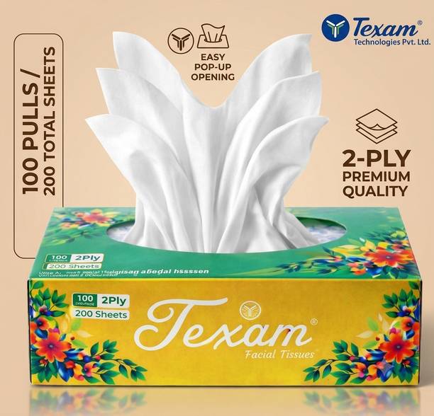 TEXAM Premium Facial Tissue 100 pulls 2 ply (pack of 1)