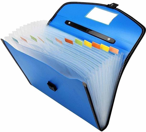 NIVIZEN Plastic 13 Pockets Expanding File Folder Accordion Document/Letter A4 Size File Organizer with Handle