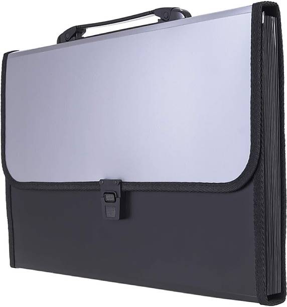 NIVIZEN Plastic Project File Organizer with Handle and 13 Pockets holds up to 900 sheets