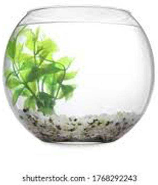 NOGAIYA 3.5 L Fish Bowl
