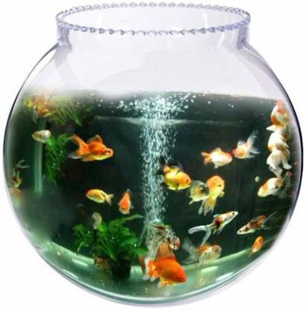 NOGAIYA 3.5 L Fish Bowl