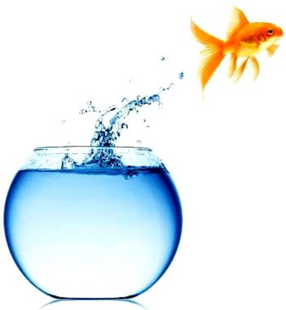 BILAL ANSARI Aqua_02 presenting cute & glossy looking glass fish aquarium (pack of 1, 8 inch) Round Ends Aquarium Tank