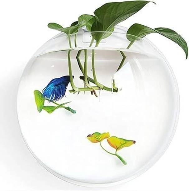 MAGINATO 6inch wall doom glass@7 Round Ends Aquarium Tank