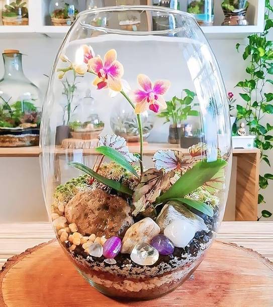 SEETASTIC 8 Inchi Dholak @d4 Round Ends Aquarium Tank