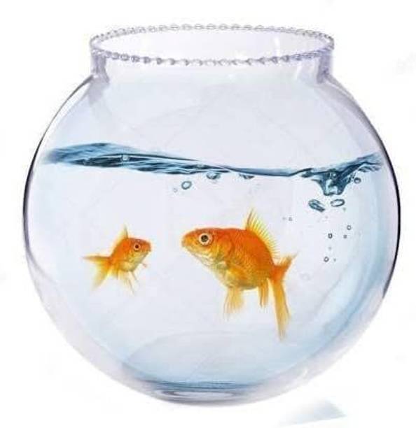 MAGINATO 4 Inchi coller @cb01 Round Ends Aquarium Tank