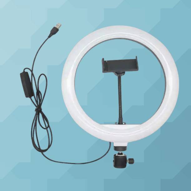 BITWEAVE LED Fill Light 10 Inch with Mobile Holder for Reels Ring Flash