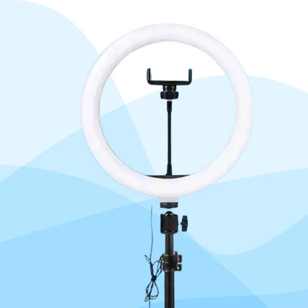 BITWEAVE USB LED Ring Light 10 Inch for Makeup, Reels, and Zoom Calls Ring Flash