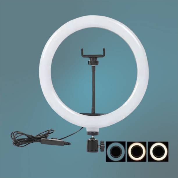 BITWEAVE 10 Inch LED Ring Light for Artists – With Color Accuracy Ring Flash