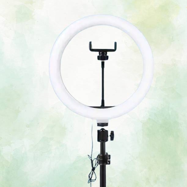 BITWEAVE 10-Inch Ring Light for Social Media – With Phone Holder Ring Flash