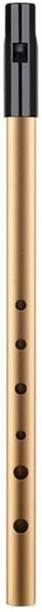 amiciSound Mini Clarinet for Beginners- C/D Key Irish Whistle Tin Penny Flute with 6 Holes Aluminum Flute