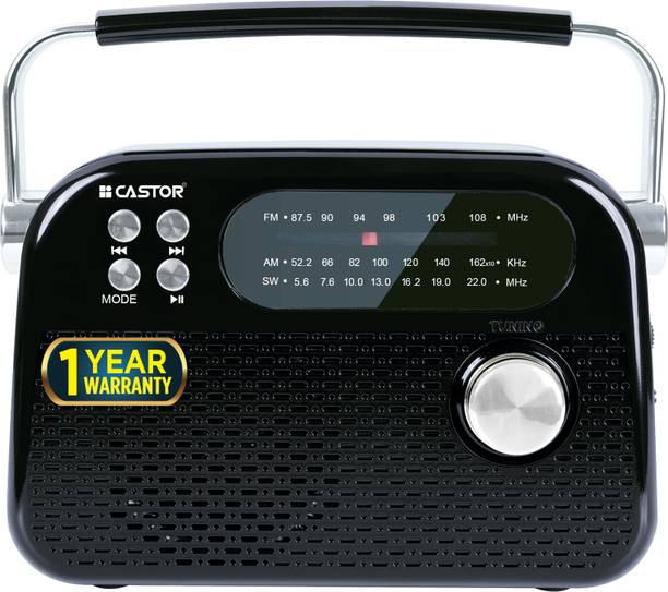 CASTOR FM820BT Portable Radio with FM & Bluetooth Speaker, USB MP3 Player, Rechargeable FM Radio