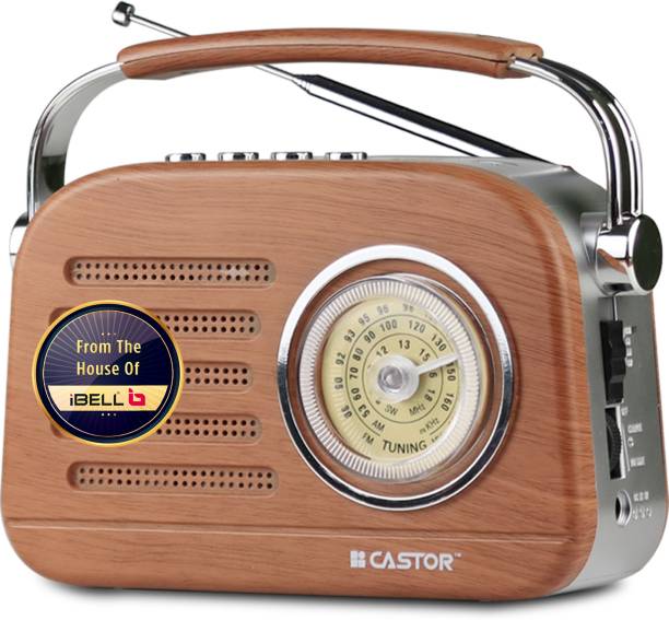 CASTOR 820BT FMRadio Bluetooth Speaker, USB MP3 Player, Rechargeable Battery FM Radio