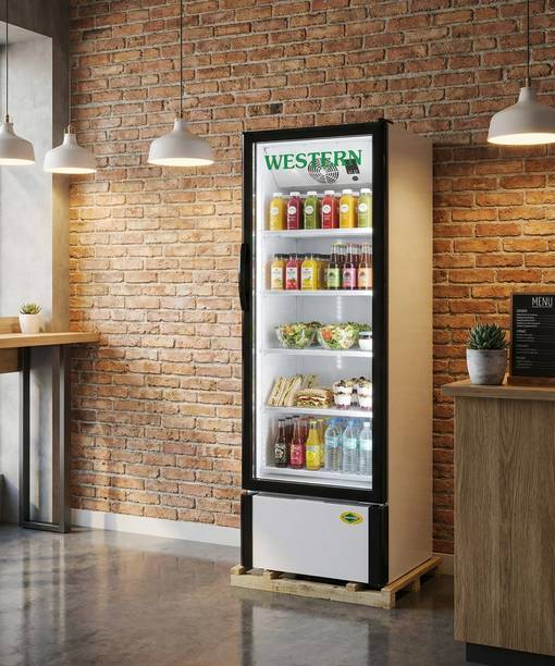 WESTERN 216 L Single Door Upright Freezer