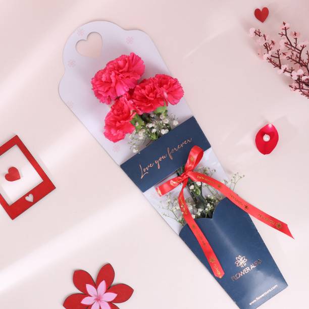 Floweraura Fresh Live Premium Flower Bouquet of 3 Pink Carnations Flowers Carnations Bouquets